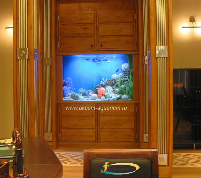 Акцент-аквариум,аквариум 900 литров встроенный в стену